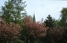 Rosenkranzmonat Oktober