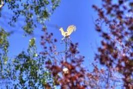 Österliche Bußzeit