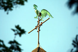 Rosenkranzmonat Oktober