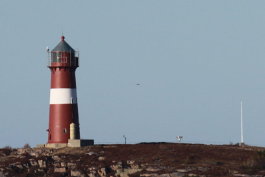 Rosenkranzmonat Oktober