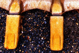 Rosenkranzmonat Oktober