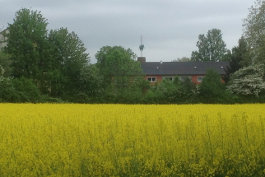 Rosenkranzmonat Oktober