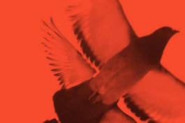 Rosenkranzmonat Oktober