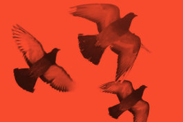 Rosenkranzmonat Oktober