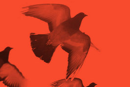 Österliche Bußzeit