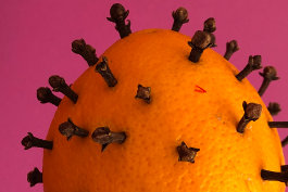 Rosenkranzmonat Oktober